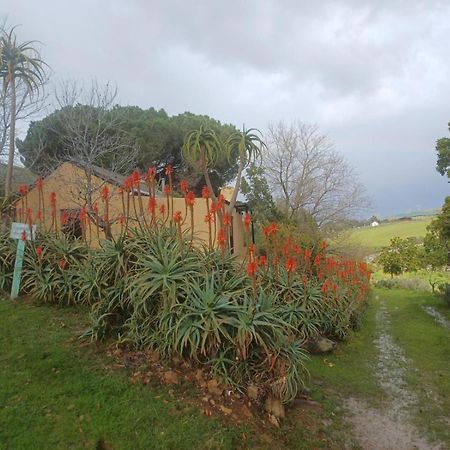 Villa Swaynekloof Farm à Botrivier Extérieur photo