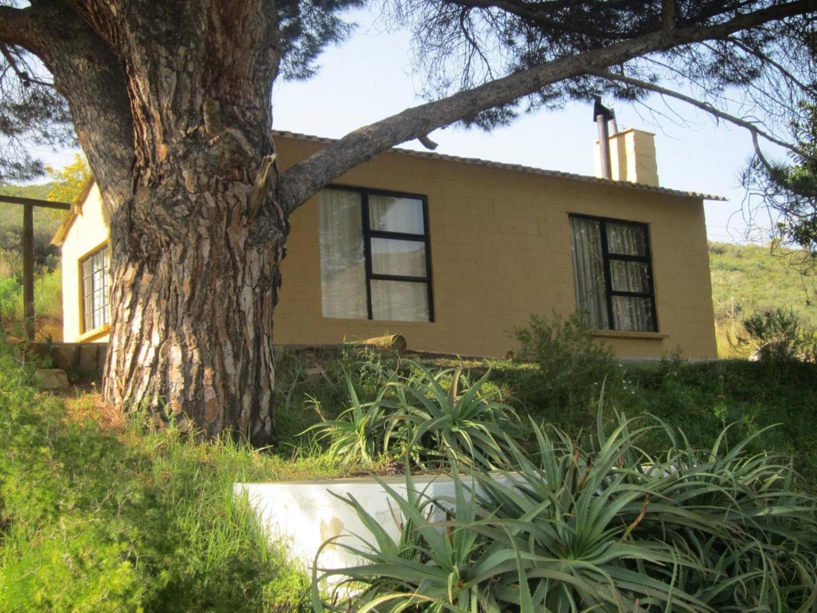 Villa Swaynekloof Farm à Botrivier Chambre photo