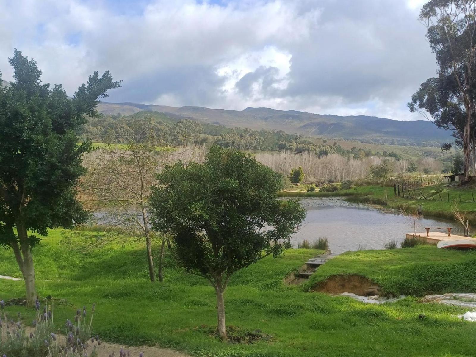 Villa Swaynekloof Farm à Botrivier Extérieur photo